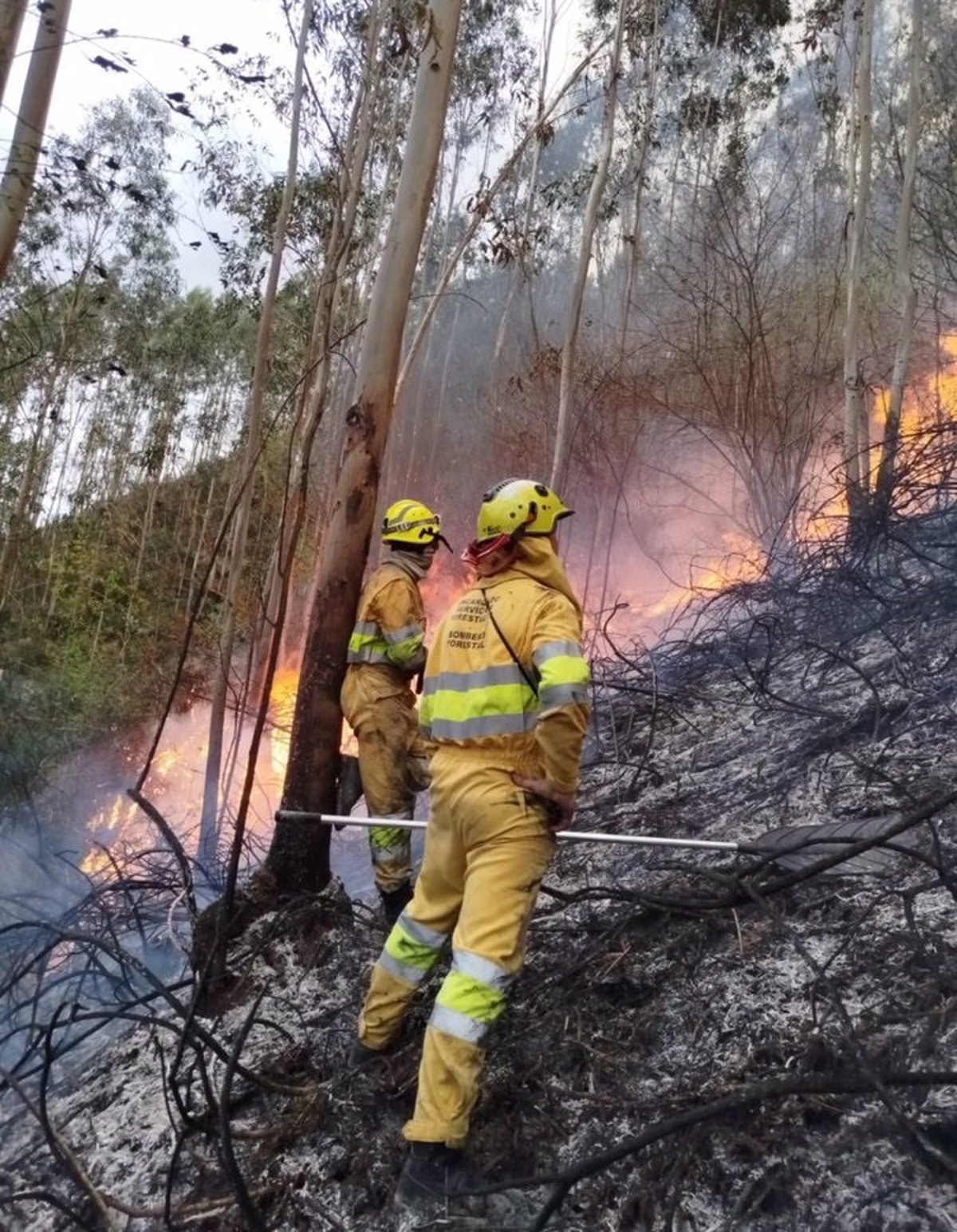 Cantabria registró este lunes seis incendios forestales