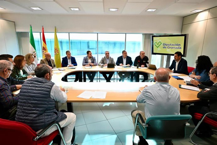 La Diputación de Granada ha celebrado una reunión del Comité de Emergencias, presidida por el presidente de la institución, Francis Rodríguez.