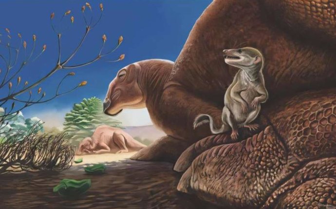 Reconstrucción en vida de la Formación Baynshire, Mongolia, que muestra a Ravjaa ishiii (primer plano), una especie de mamífero recientemente descubierta, representada en el pie del dinosaurio hadrosáurido Gobihadros.