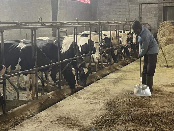 Explotación ganadera