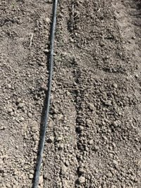 COAG-A señala problemas en el sector agrario con animales sin ordeñar y cultivos sin riego por la falta de electricidad