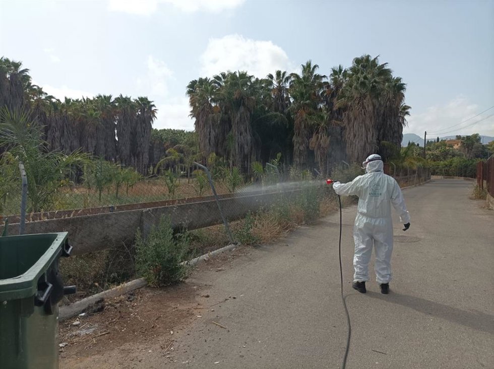 Archivo - Un operario durante una campaña para prevenir plagas de mosquitos.