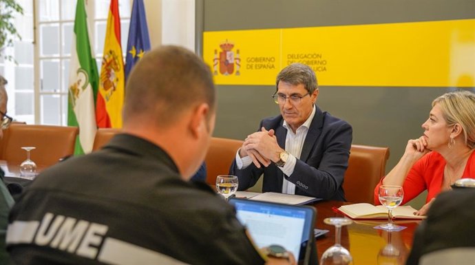 El delegado del Gobierno en Andalucía, Pedro Fernández, este martes durante la reunión de coordinación con el ministro Fernando Grande-Marlaska.