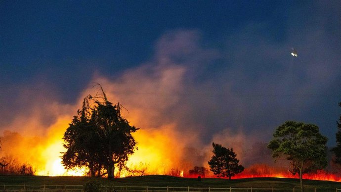Archivo - Incendios en Los Ángeles (EE.UU.).