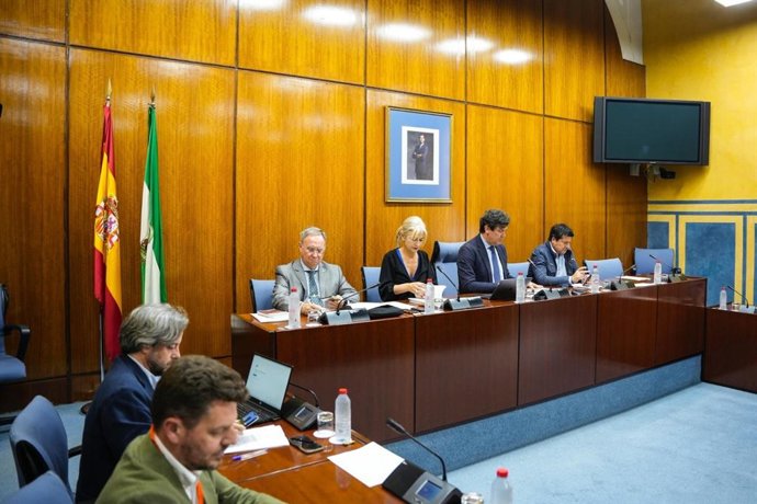 La final de la Copa del Rey de La Cartuja tuvo un impacto económico de más de 75 millones.