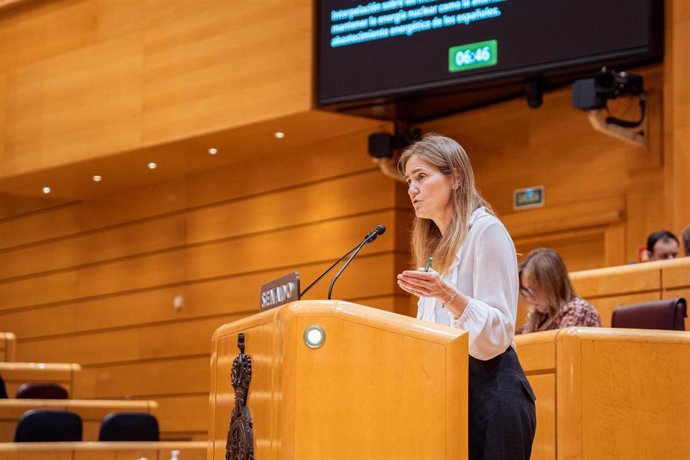 Archivo - La vicepresidenta tercera y ministra para la Transición Ecológica y el Reto Demográfico, Sara Aagesen, interviene durante una sesión de control al Gobierno en el Senado, a 11 de febrero de 2025, en Madrid (España).