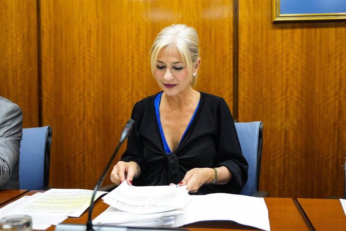 La consejera de Cultura y Deporte, Patricia del Pozo, en comisión parlamentaria, a fecha de 29 de abril de 2025.