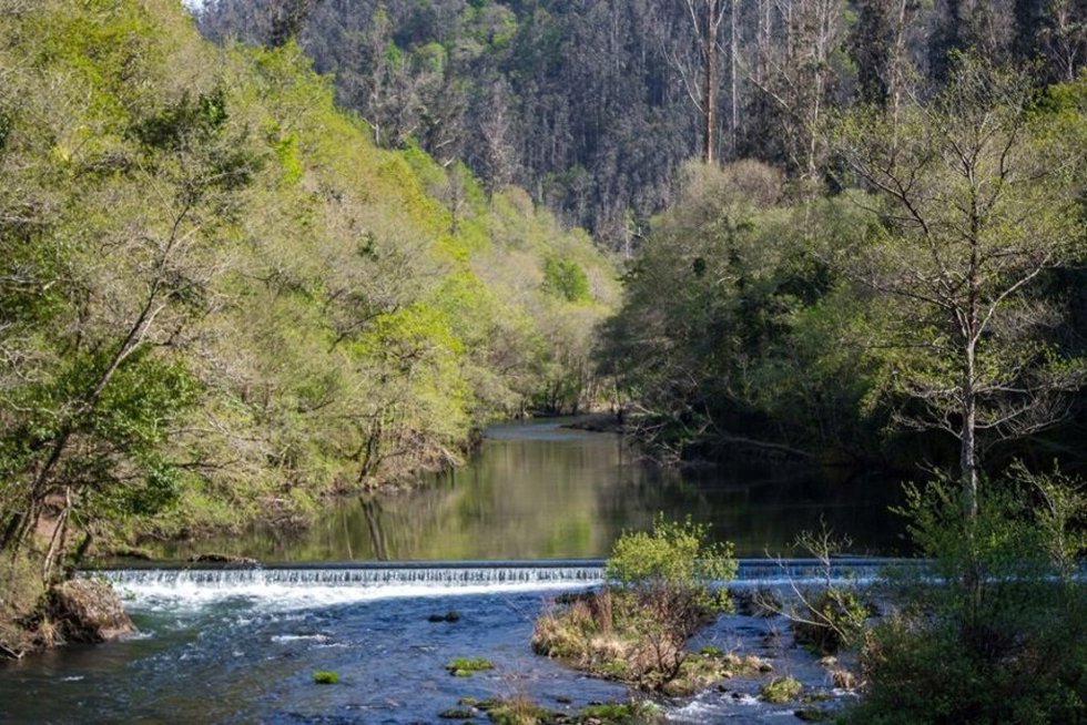 Río