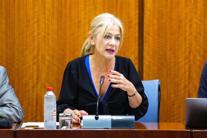 La consejera de Cultura y Deporte, Patricia del Pozo, en comisión parlamentaria, este 29 de abril de 2025.