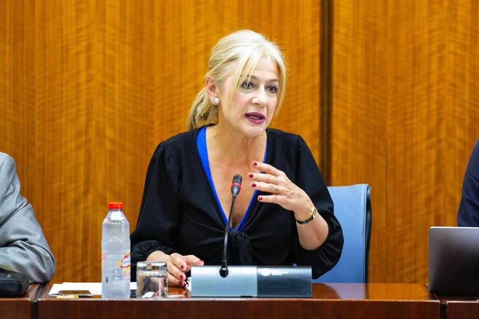 La consejera de Cultura y Deporte, Patricia del Pozo, en comisión parlamentaria, este 29 de abril de 2025.