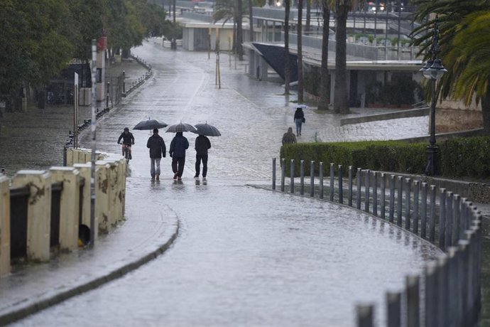 Archivo - Varias se protegen de la lluvia con un paraguas. A 03 de marzo de 2025, en Sevilla (Andalucía, España). 