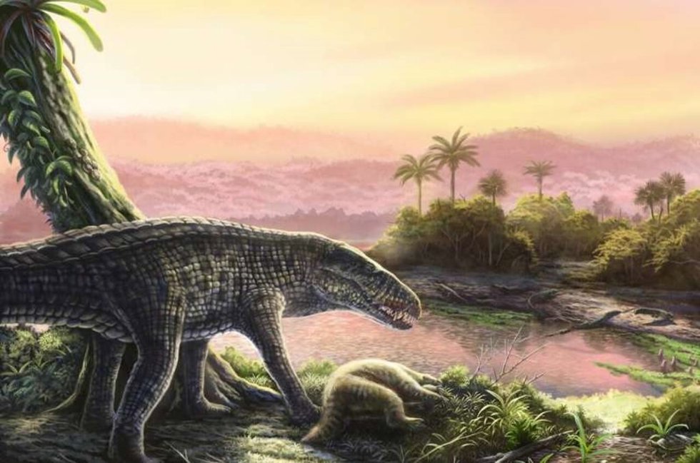 Imaginen un cocodrilo con la complexión de un galgo: ese es un sebécido. De gran altura, con algunas especies que alcanzan los 6 metros de longitud, los sebécidos fueron depredadores superiores hasta su extinción durante el Mioceno.