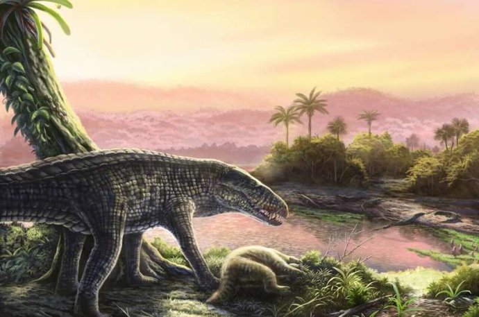 Imagine um crocodilo com a constituição física de um galgo: esse é um sebácido. De porte alto, com algumas espécies atingindo até 6 metros de comprimento, os sebecídeos foram os principais predadores até sua extinção durante o Mioceno.