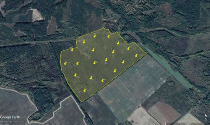 Campo de pruebas en Mezhiliska y ubicación de los puntos de muestreo de suelo. Imagen de Google Earth.