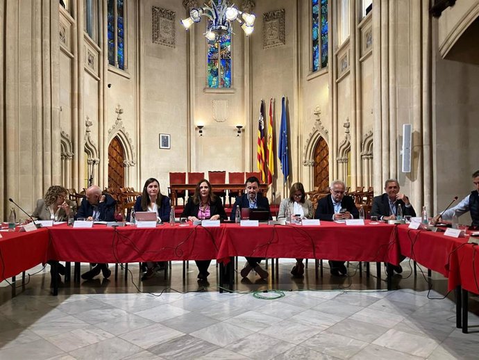 La conselleria de Salud, Manuela García, y el director general del IbSalut, Javier Ureña, este miércoles en la reunión.