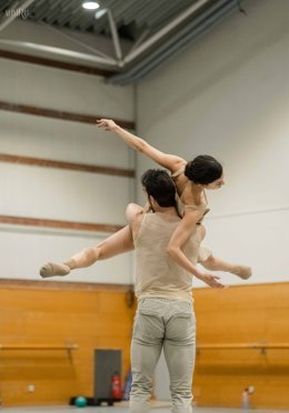 El Día Internacional de la Danza se celebra el 29 de abril desde que fue establecido por la UNESCO en 1982, por iniciativa del Comité Internacional de la Danza. Esta fecha conmemora el nacimiento (en 1727) del bailarín, maestro y coreógrafo Jean-Georges.