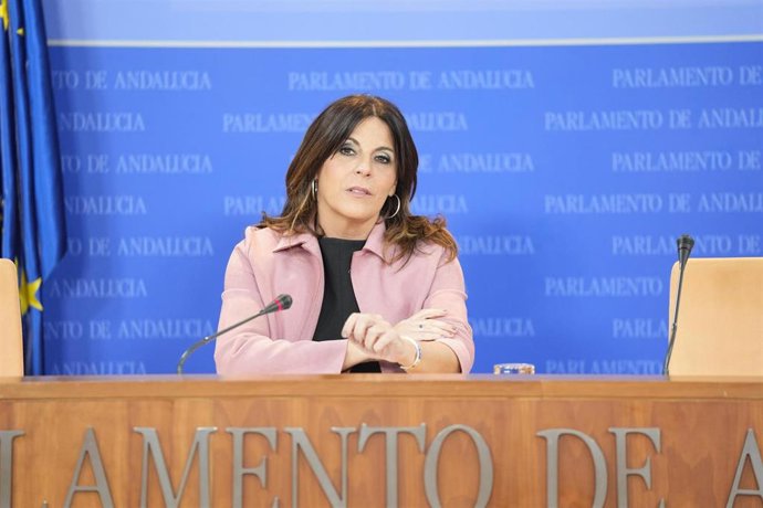 La portavoz adjunta del Grupo Socialista, Ángeles Férriz, este miércoles en rueda de prensa.