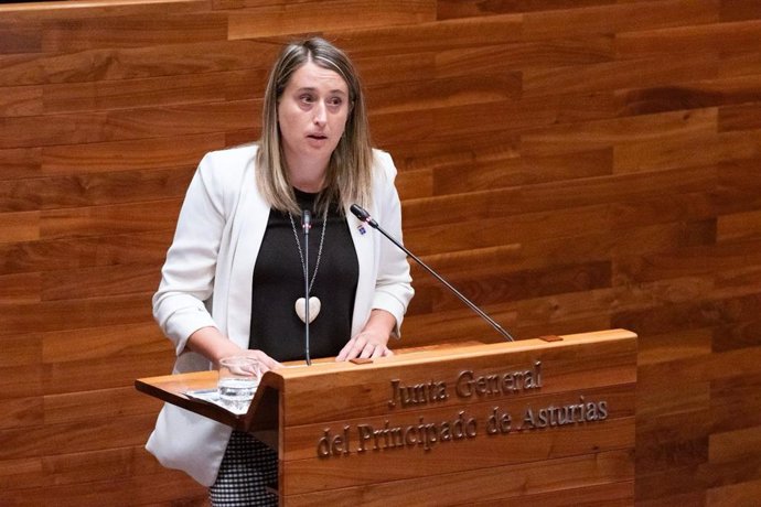 Archivo - La diputada del PP  en la JGPA, Cristina Vega.