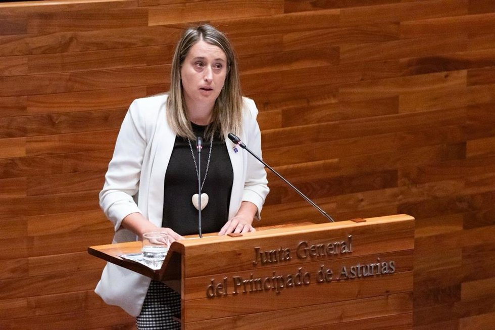 Archivo - La diputada del PP  en la JGPA, Cristina Vega.