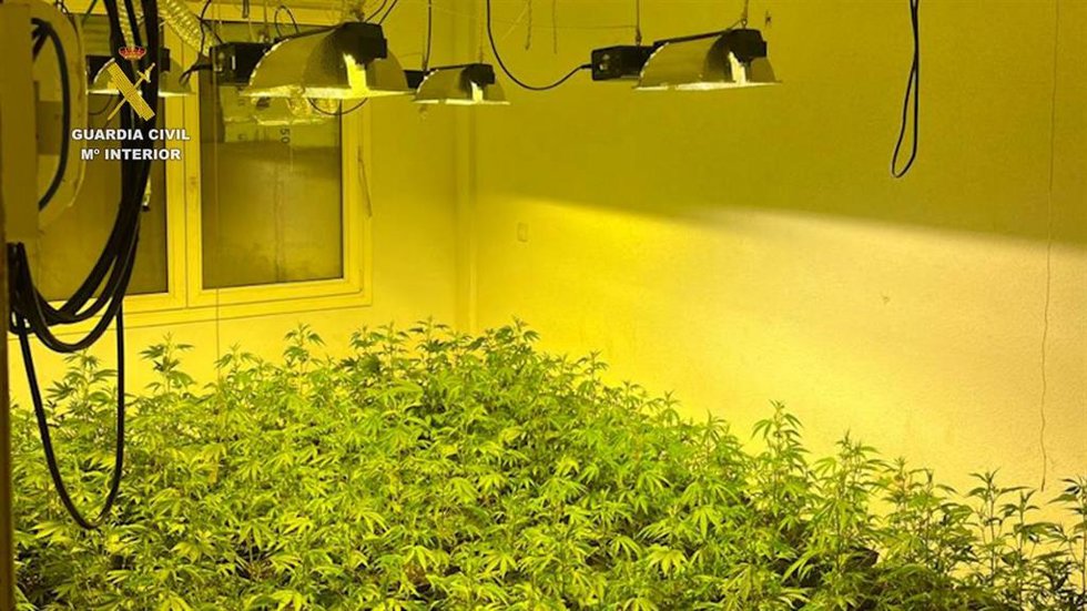Cultivo interior de marihuana intervenido por la Guardia Civil en una vivienda de Roquetas de Mar (Almería).