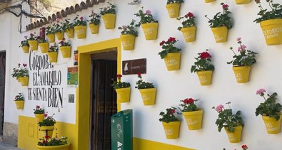 Responsables