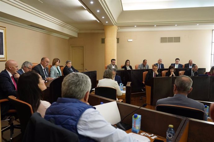 Sesión plenaria de la Diputación de León.