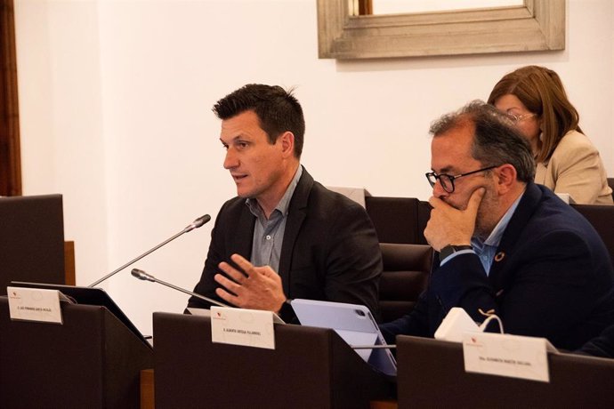 El diputado de Infraestructuras, Luis Fernándo García Nicolás, en el Pleno de la Diputación de Cáceres