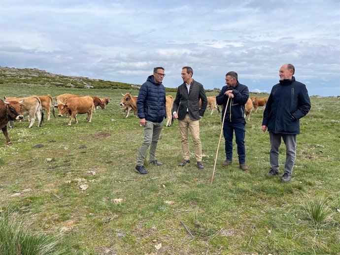El director general de Política Agraria Comunitaria, Ángel Gómez, durante una visita a una explotación ganadera de vacuno ecológico en el Puerto del Tremedal, en Solana de Ávila.