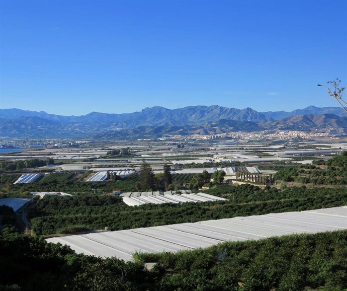 Vista de fincas con invernaderos