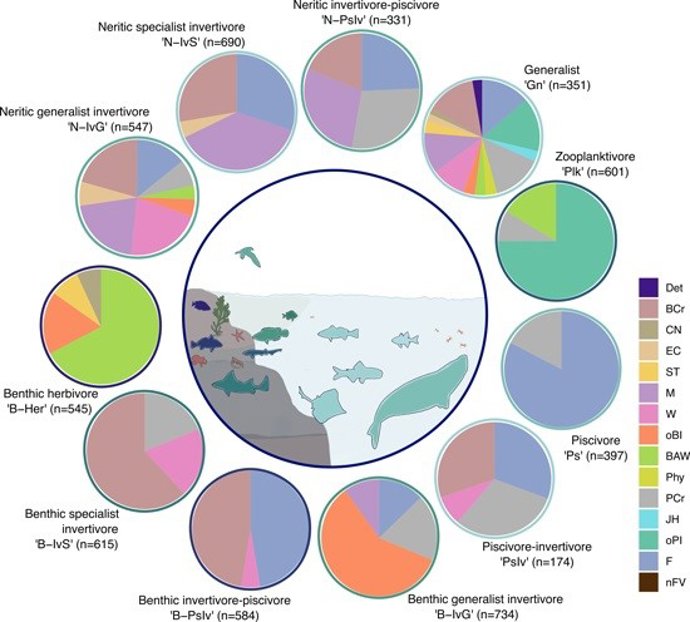 Gremios tróficos en los que pueden ser categorizados los vertebrados marinos. Los colores y su proporción dentro de cada círculo indican el tipo y cantidad de recursos que explota cada uno.