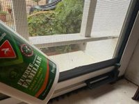 La Junta de Andalucía recomienda a la población reforzar la protección frente al virus del Nilo Occidental