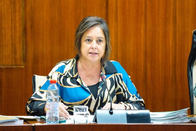 La consejera de Sostenibilidad y Medio Ambiente de la Junta de Andalucía, Catalina García, durante la comisión parlamentaria.