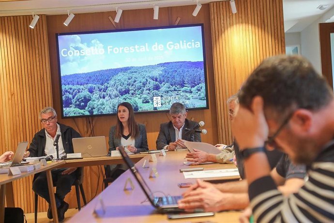 La conselleira do Medio Rural, María José Gómez, en una reunión este miércoles
