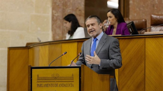 El parlamentario andaluz de Vox José Ortells, en una foto de archivo en el Pleno del Parlamento andaluz.