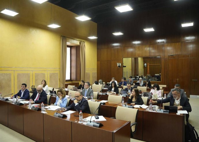 Sesión de la comisión de Universidad, Investigación e Innovación del Parlamento andaluz. (Foto de archivo).