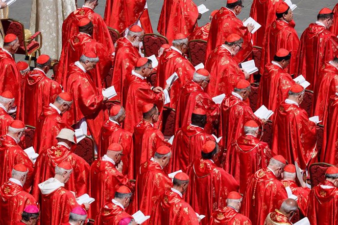 Cardenales en el funeral del Papa Francisco.