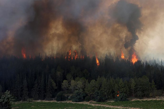 Imagem de arquivo de incêndios florestais em Israel.