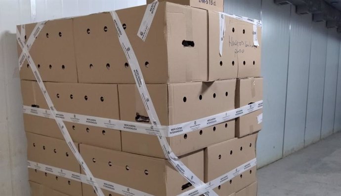 Agricultura interviene 7.200 huevos provenientes de la Península por un presunto fraude en el peso