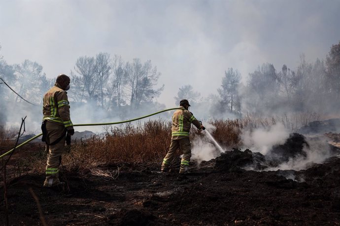 01 May 2025, Israel, Jerusalem: Israeli firefighters extinguish the wildfire that broke out in a forested area between Tel Aviv and Jerusalem. The fire spread to the forest area in the Latrun region near the city of Jerusalem and was controlled with aeria