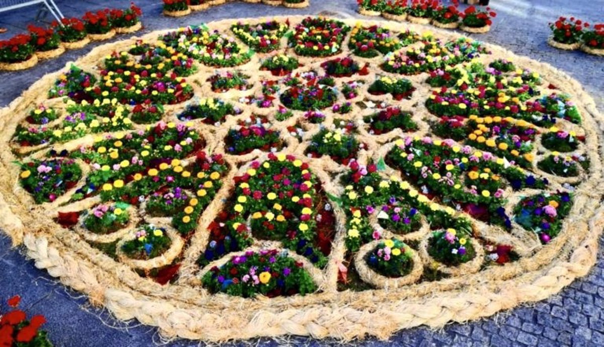 Una manta floral con el logotipo de Burgos 2031, en la Fiesta de las Flores
