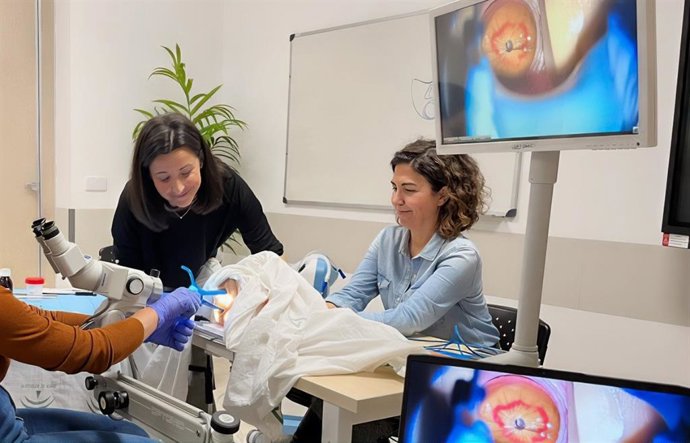 Profesionales del Macarena en el curso de conización cervical dirigido a médicos de otros hospitales.