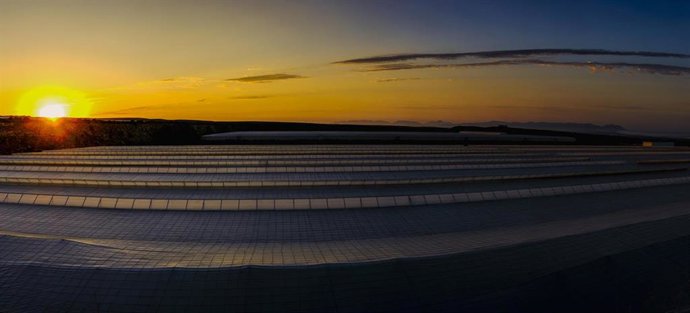 Archivo - Invernaderos.