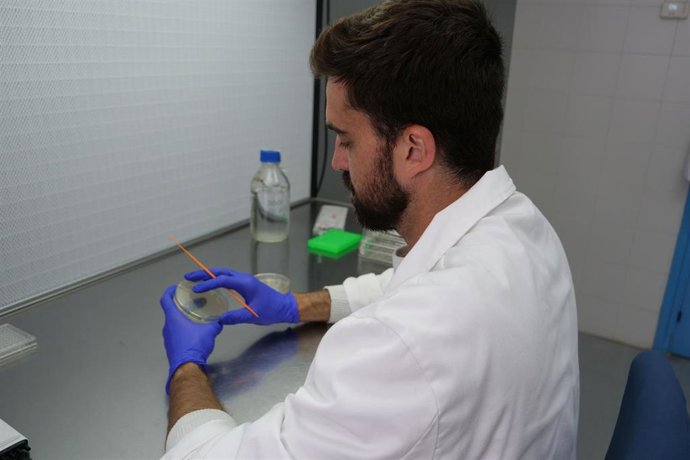 El investigador del Departamento de Botánica y Fisiología Vegetal de la Universidad de Málaga Ignacio J. Melero-Jiménez.