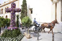 Cruces de Mayo 2025: Estos son los mejores enclaves en Andalucía para disfrutar de la tradicional fiesta