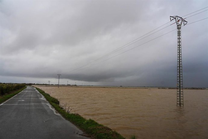 Archivo - Agua turbia en la Albufera