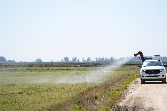 Archivo - Detalle de las maniobras de fumigación durante la Activación del protocolo de prevención y control del Virus del Nilo en la Puebla del Río