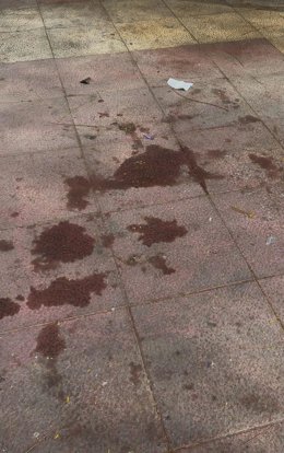 Una imagen de suciedad en la ciudad de Murcia