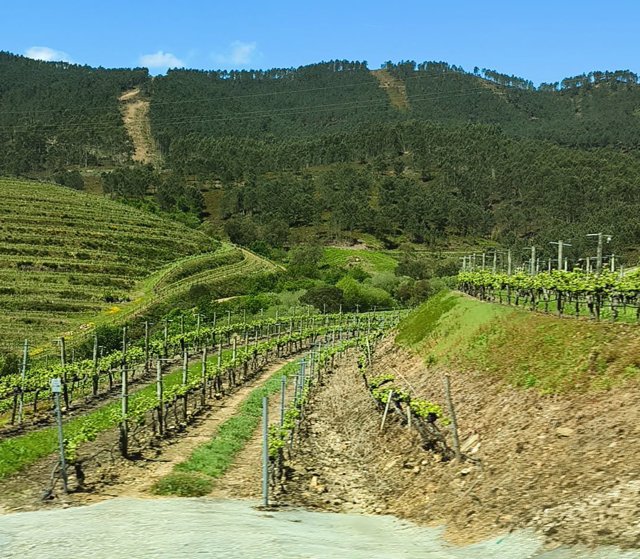 Bodegas Altos de Torona