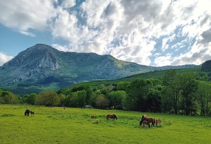 Cielos con nubes en Euskadi (archivo)