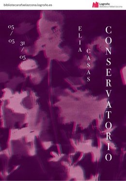 La Biblioteca Rafael Azcona acoge la exposición 'Conservatorio II' de Elia Casas